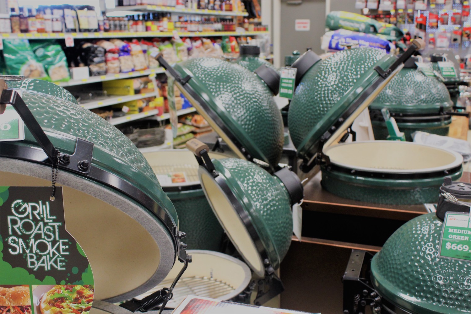 The Big Green Egg