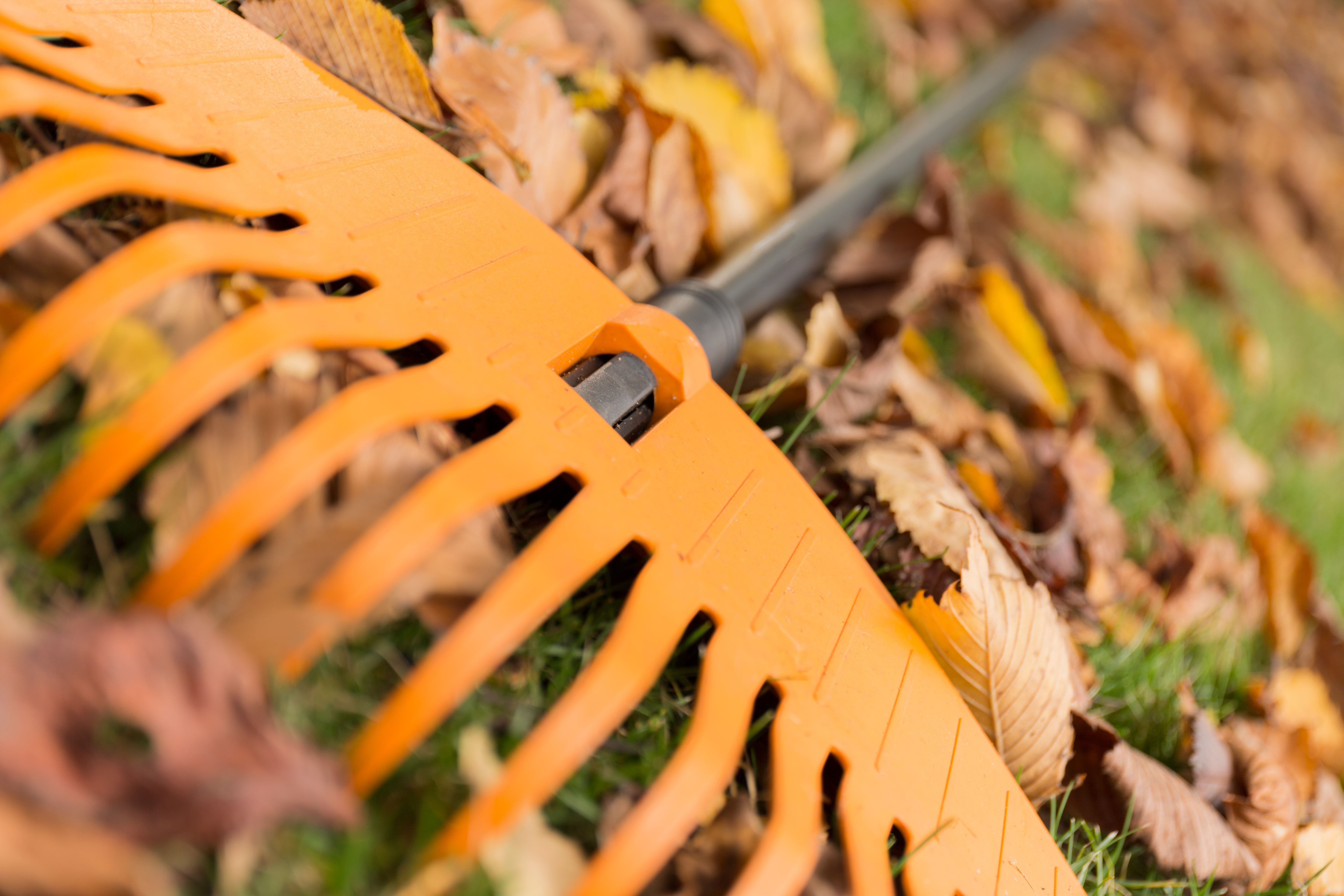 Fall Products